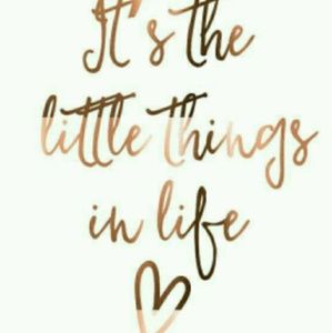 Meet your Posher, Fallan